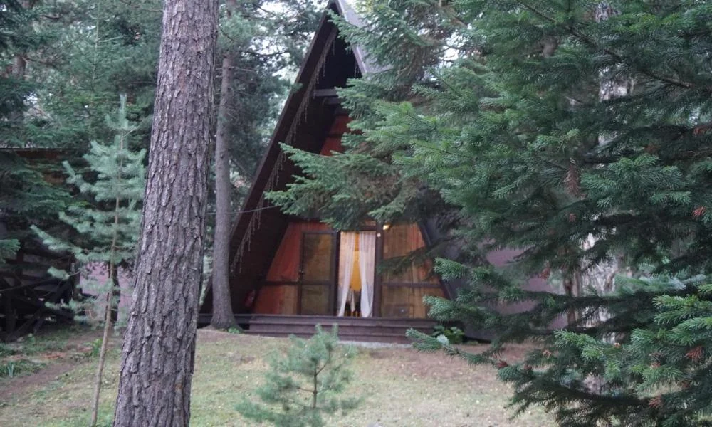 Отель ТаМаМ - Коттедж стандарт A-Frame, Архыз